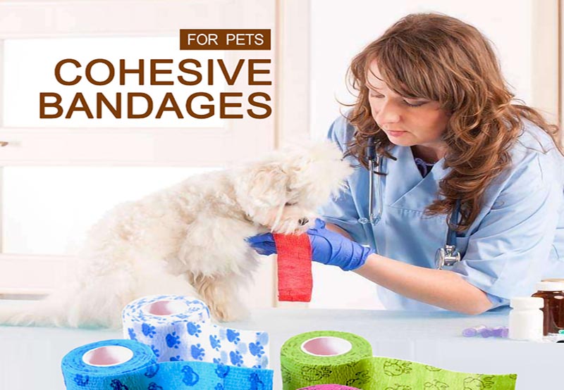 Self Adhesive Vet Wrap for Dog Protection
