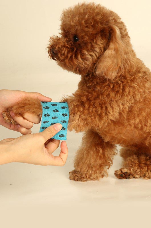 Waterproof cohesive bandage wrap for pets